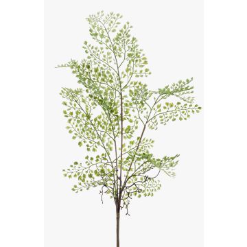 Umělá kapradina netík venušin vlas ROBIN, zelená, 50cm Umělá kapradina netík venušin vlas ROBIN, zelená, 50cm