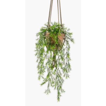 Umělý asparagus v závěsném květináči SILIJA, terakotový květináč, 75cm