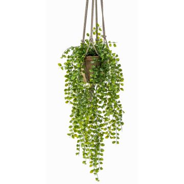 Umělý fíkus plazivý SILIJA, v terakotovém květináči, zelená, 80cm Umělý fíkus plazivý SILIJA, v terakotovém květináči, zelená, 80cm