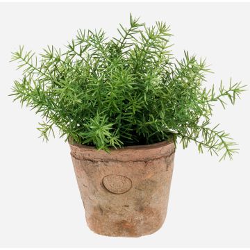 Umělý okrasný chřest LUCANO, terakotový květináč, 20cm, Ø20cm