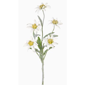 Umělá rostlina plesnivec SOPHIA, bílá, 40cm, Ø5-6cm Umělá rostlina plesnivec SOPHIA, bílá, 40cm, Ø5-6cm