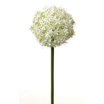 Umělé allium SAMARA, bílo-zelená, 75cm, Ø12cm Umělé allium SAMARA, bílo-zelená, 75cm, Ø12cm