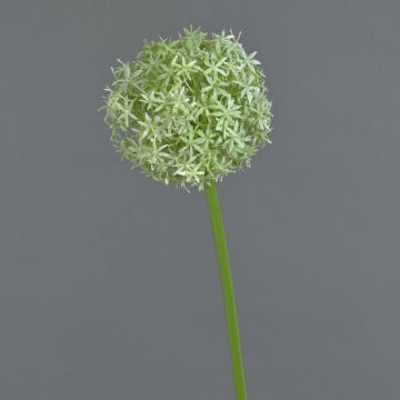 Umělé allium SAMARA, krémová, 75cm, Ø12cm Umělé allium SAMARA, krémová, 75cm, Ø12cm