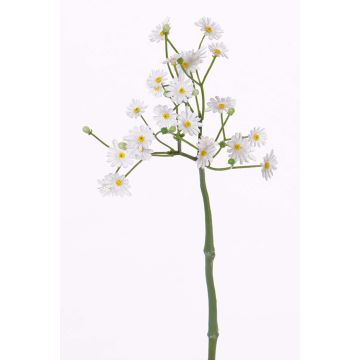 Umělá rostlina sedmikráska BELINA, bílá, 30cm, Ø1-1,5cm Umělá rostlina sedmikráska BELINA, bílá, 30cm, Ø1-1,5cm
