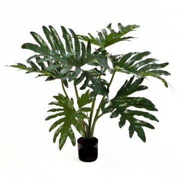 Umělá rostlina filodendron monstera deliciosa LAINA, 60cm