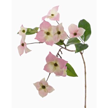 Umělá větvička japonského dřínu KOHANA, s květy, růžová, růžovo-krémová, 65cm, Ø4-8cm Umělá větvička japonského dřínu KOHANA, s květy, růžová, růžovo-krémová, 65cm, Ø4-8cm