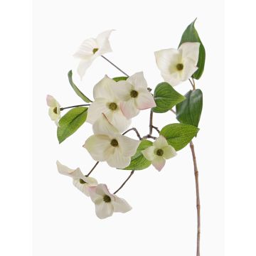 Umělá větvička japonského dřínu KOHANA, s květy, krémová, 65cm, Ø4-8cm Umělá větvička japonského dřínu KOHANA, s květy, krémová, 65cm, Ø4-8cm