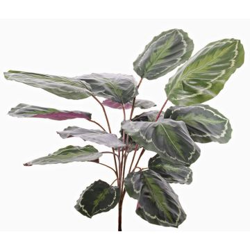 Umělá rostlina calathea medaillon BRIHANNA na zápichu, zelená, 75cm Umělá rostlina calathea medaillon BRIHANNA na zápichu, zelená, 75cm