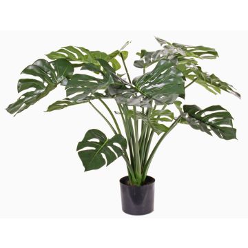 Umělá rostlina filodendron monstera deliciosa ARELA, 85cm Umělá rostlina filodendron monstera deliciosa ARELA, 85cm