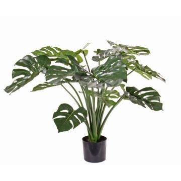 Umělá rostlina filodendron monstera deliciosa ARELA, 85cm Umělá rostlina filodendron monstera deliciosa ARELA, 85cm