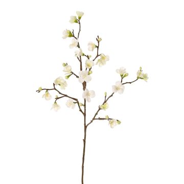 Umělá větvička jabloně SADAKA, s květy, krémová, 70cm, Ø3-4cm Umělá větvička jabloně SADAKA, s květy, krémová, 70cm, Ø3-4cm