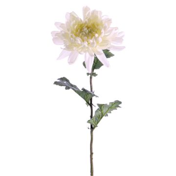 Textilní květina chryzantéma AMANDI, bílá, 75cm, Ø15cm Textilní květina chryzantéma AMANDI, bílá, 75cm, Ø15cm