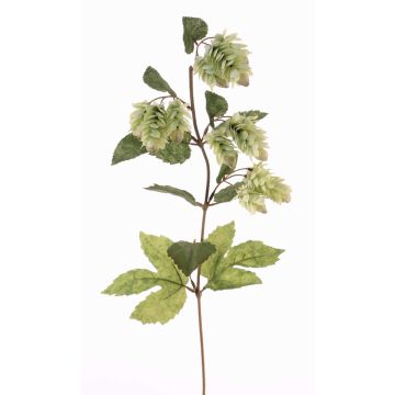 Umělá větev chmelu AXEL s květy, zelená, 75cm, Ø3cm Umělá větev chmelu AXEL s květy, zelená, 75cm, Ø3cm