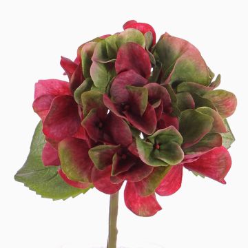 Umělá hortenzie CHIDORI, červeno-zelená, 30cm, Ø13cm Umělá hortenzie CHIDORI, červeno-zelená, 30cm, Ø13cm