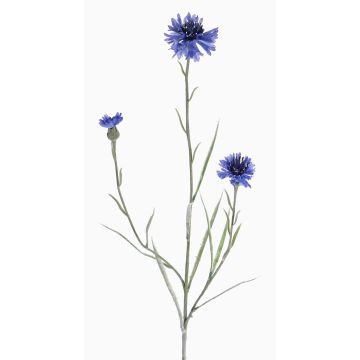 Umělá chrpa KELSIE, modrá, 65cm, Ø2,5-6cm Umělá chrpa KELSIE, modrá, 65cm, Ø2,5-6cm