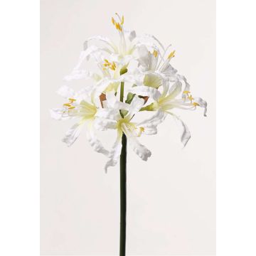 Umělá květina nerine MONJA, bílá, 70cm, Ø12cm Umělá květina nerine MONJA, bílá, 70cm, Ø12cm