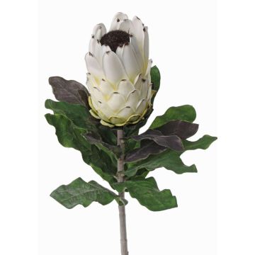 Umělá květina protea NELLI, bílo-žlutá, 75cm, Ø8cm Umělá květina protea NELLI, bílo-žlutá, 75cm, Ø8cm