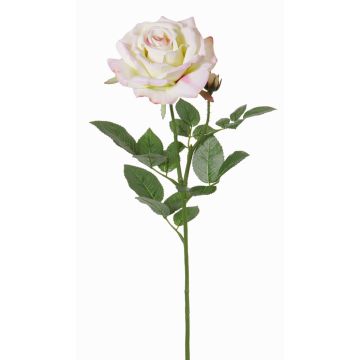 Umělá růže JANINE, krémovo-fuchsiová, 70cm, Ø12cm