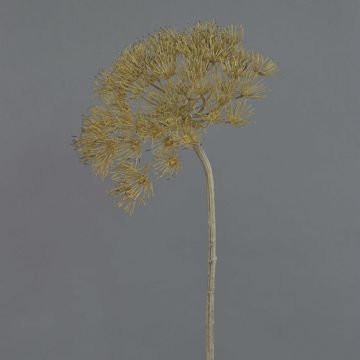 Umělý bolševník ANSARI, hnědá, 80cm, Ø22cm