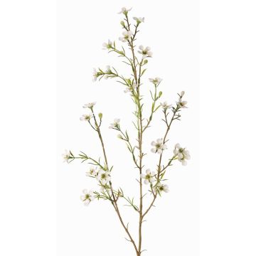 Umělá hoya NIANG, krémová, 80cm, Ø1,5-2,5cm