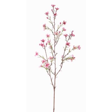 Umělá hoya NIANG, růžovo-fuchsiová, 80cm, Ø1,5-2,5cm Umělá hoya NIANG, růžovo-fuchsiová, 80cm, Ø1,5-2,5cm
