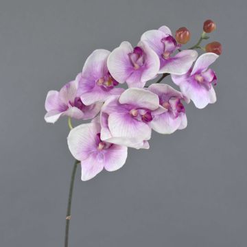Umělá větev orchideje phalaenopsis ENISA, růžovo-bílá, 45cm