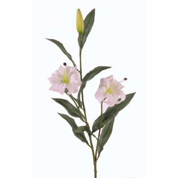 Umělá lilie tygrovaná DANBI, bílo-zelená, 85cm, Ø9cm Umělá lilie tygrovaná DANBI, bílo-zelená, 85cm, Ø9cm