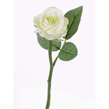 Textilní květina růže GABI, krémovo-zelená, 30cm, Ø6cm