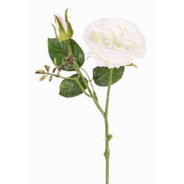 Umělá růže stolistá JUDY, krémová, 40cm, Ø9cm Umělá růže stolistá JUDY, krémová, 40cm, Ø9cm