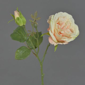 Umělá růže stolistá JUDY, oranžová, 35cm, Ø8cm