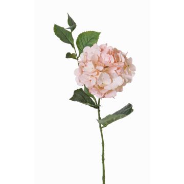 Umělá hortenzie ASUKA, růžová, 80cm, Ø15cm Umělá hortenzie ASUKA, růžová, 80cm, Ø15cm