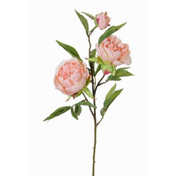 Umělá větvička pivoňky MANJA, růžová, 70cm, Ø8-10cm Umělá větvička pivoňky MANJA, růžová, 70cm, Ø8-10cm