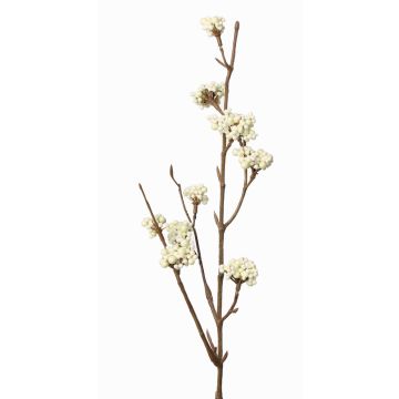 Umělá větev krásnoplodky LARINA s bobulemi, krémová, 50cm Umělá větev krásnoplodky LARINA s bobulemi, krémová, 50cm