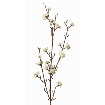 Umělá větev krásnoplodky LARINA s bobulemi, krémová, 70cm Umělá větev krásnoplodky LARINA s bobulemi, krémová, 70cm