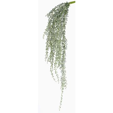 Umělá převislá rostlina senecio KANELO, se zápichem, zeleno-šedá, 80cm Umělá převislá rostlina senecio KANELO, se zápichem, zeleno-šedá, 80cm