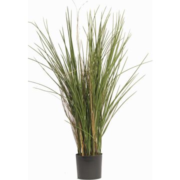 Umělá rostlina rákosu DELSIN, pro interiér i exteriér, zeleno-hnědá, 80cm Umělá rostlina rákosu DELSIN, pro interiér i exteriér, zeleno-hnědá, 80cm