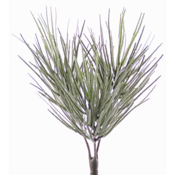 Umělá euphorbia CHENOA na zápichu, zeleno-šedá, 30cm, Ø20cm Umělá euphorbia CHENOA na zápichu, zeleno-šedá, 30cm, Ø20cm