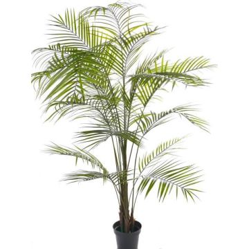 Umělá palma areca MELMAN, pro interiér i exteriér, 190cm Umělá palma areca MELMAN, pro interiér i exteriér, 190cm