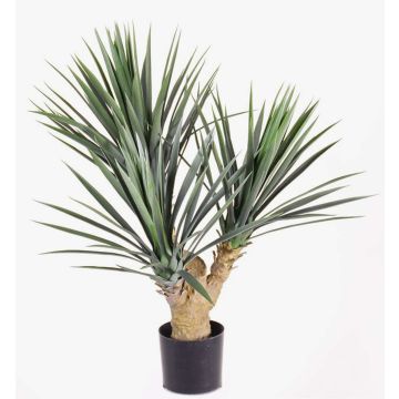 Plastová juka palma KEYLA, pro interiér i exteriér, 70cm Plastová juka palma KEYLA, pro interiér i exteriér, 70cm