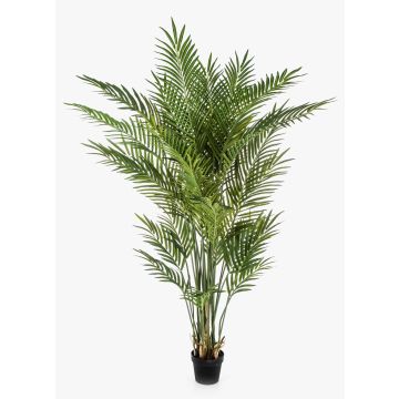 Umělá areca palma LUVA, 170cm