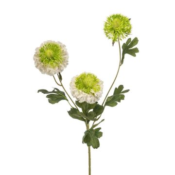 Umělá větvička Scabiosa caucasica ANAYS, bílo-zelená, 80 cm