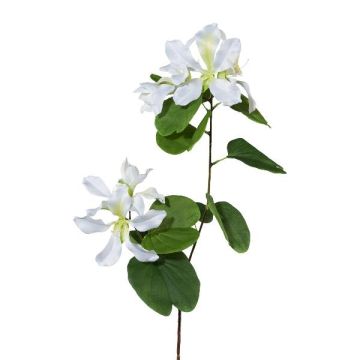 Dekorativní větev Bauhinia DRELMO, bílá, 85cm