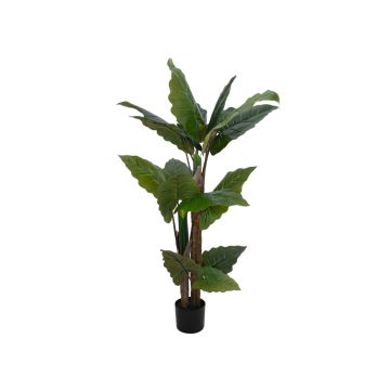 Umělá rostlina Alocasia Calidora PATRICIUS, zelená, 140 cm Umělá rostlina Alocasia Calidora PATRICIUS, zelená, 140 cm
