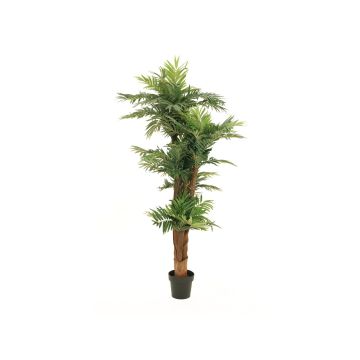 Umělá palma Areca CYNTHIA, 170 cm Umělá palma Areca CYNTHIA, 170 cm