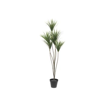 Umělá rostlina dracaena marginata KRISHAN, 130cm Umělá rostlina dracaena marginata KRISHAN, 130cm