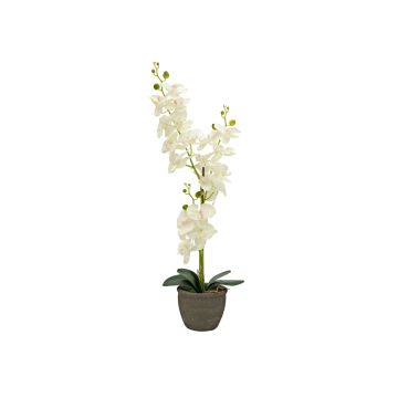Umělá orchidej phalaenopsis KATALIN, dekorativní květináč, krémová, 80cm