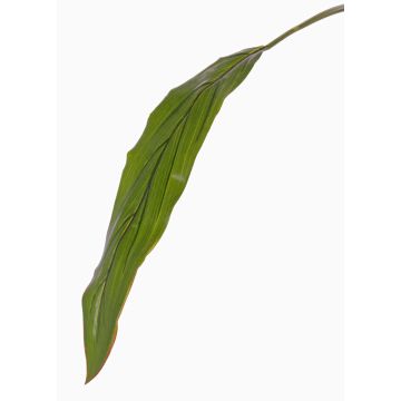 Umělá klubová lilie plachta ELARA, zelená, 90cm Umělá klubová lilie plachta ELARA, zelená, 90cm