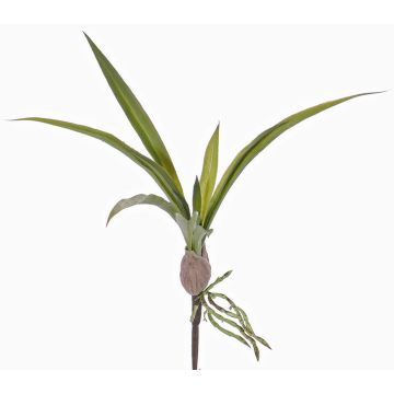 Umělé listy Oncidium Orchid HENNES, vzdušné kořeny, 25x40cm