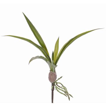 Umělé listy Oncidium Orchid HENNES, vzdušné kořeny, 25x40cm Umělé listy Oncidium Orchid HENNES, vzdušné kořeny, 25x40cm