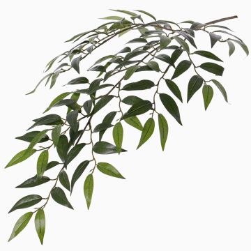 Umělá větev Smilax JURIA, zelená, 70cm